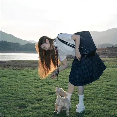 宇宙奇犬 在线观看封面
