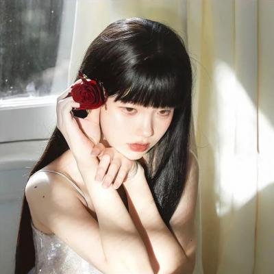 诅咒船长 在线观看封面