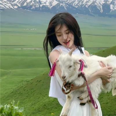 密查 在线观看封面